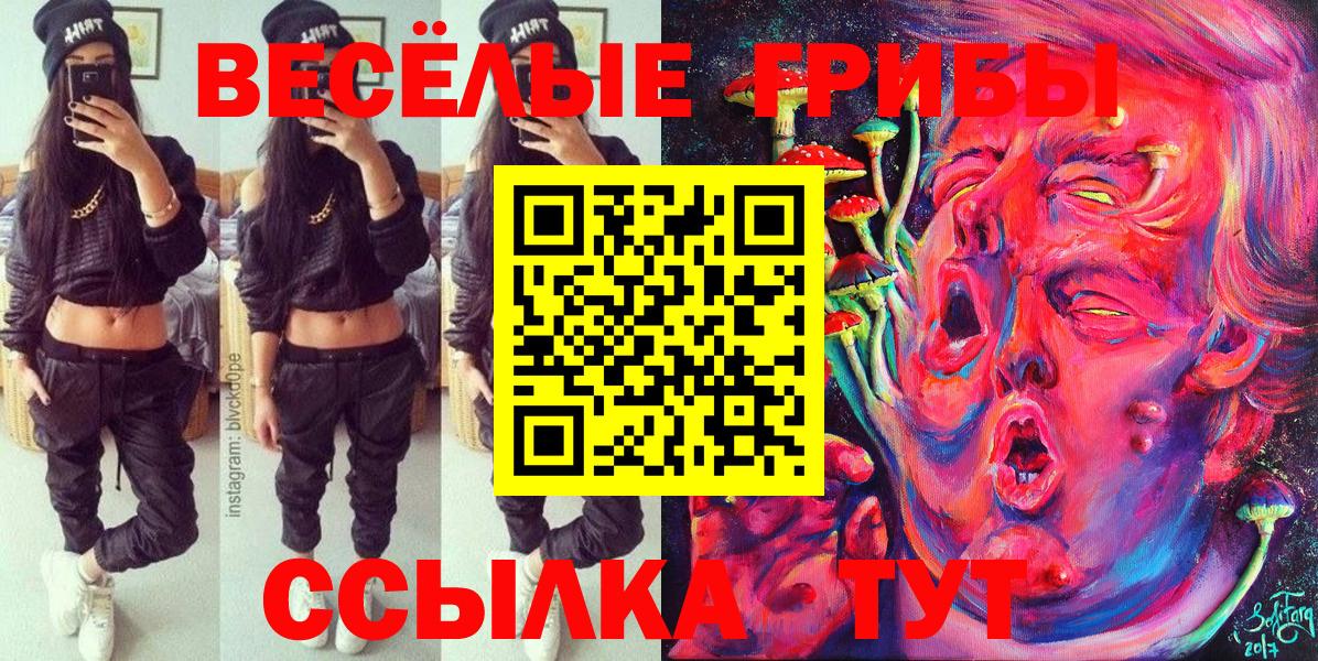 цены наркотик  Вход с VPN  Абинск  Псилоцибиновые грибы мицелий 
